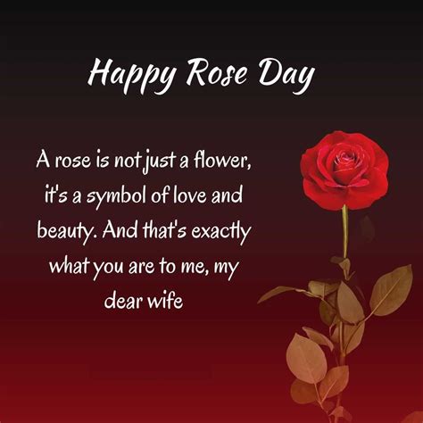 happy rose day mom dad